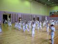 images/phocagallery/attestacia_8-9_04_2017/img_5448.jpg