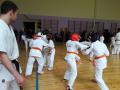 images/phocagallery/attestacia_8-9_04_2017/img_5549.jpg