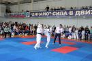 images/phocagallery/kk_i_k_kazanceva_2018/dsc_0098.jpg