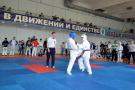 images/phocagallery/kk_i_k_kazanceva_2018/dsc_0111.jpg