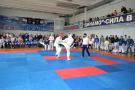 images/phocagallery/kk_i_k_kazanceva_2018/dsc_0225.jpg