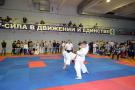 images/phocagallery/kk_i_k_kazanceva_2018/dsc_0398.jpg
