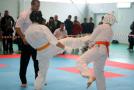 images/phocagallery/stavropol_pervenstvo_23102016/img_3205.jpg