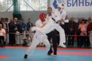 images/phocagallery/stavropol_pervenstvo_23102016/img_3235.jpg