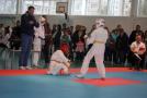 images/phocagallery/stavropol_pervenstvo_23102016/img_3264.jpg