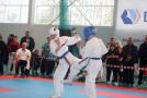 images/phocagallery/stavropol_pervenstvo_23102016/img_3273.jpg