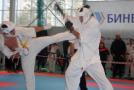 images/phocagallery/stavropol_pervenstvo_23102016/img_3375.jpg