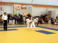 images/phocagallery/viselki_2016/DSCF4720.jpg
