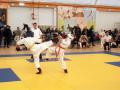 images/phocagallery/viselki_2016/DSCF4804.jpg